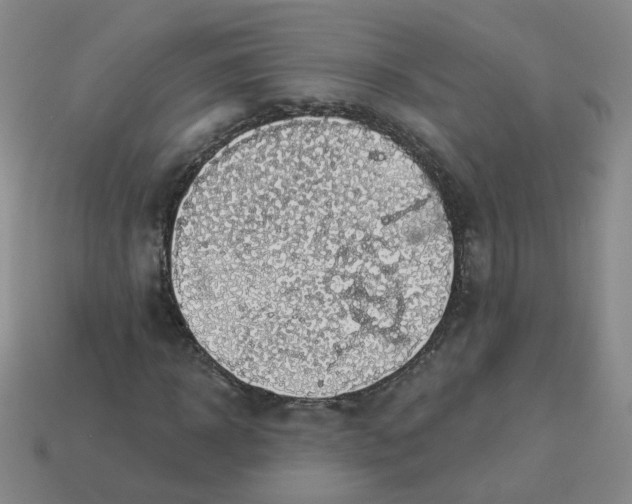 X0000113570918200910161515