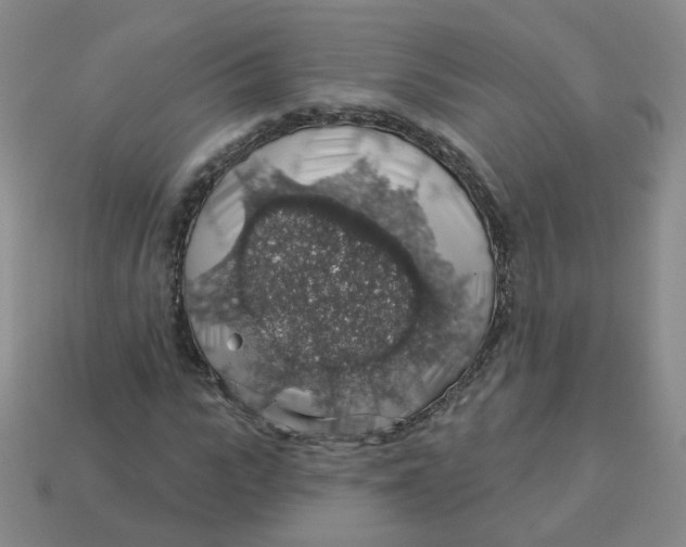 X0000113570919200910161515