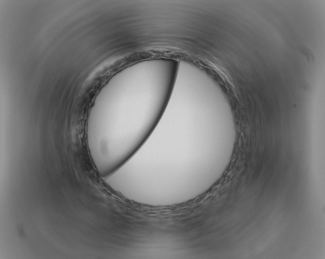 X0000113570920200910161515