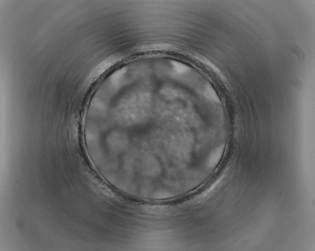 X0000113570921200910161515