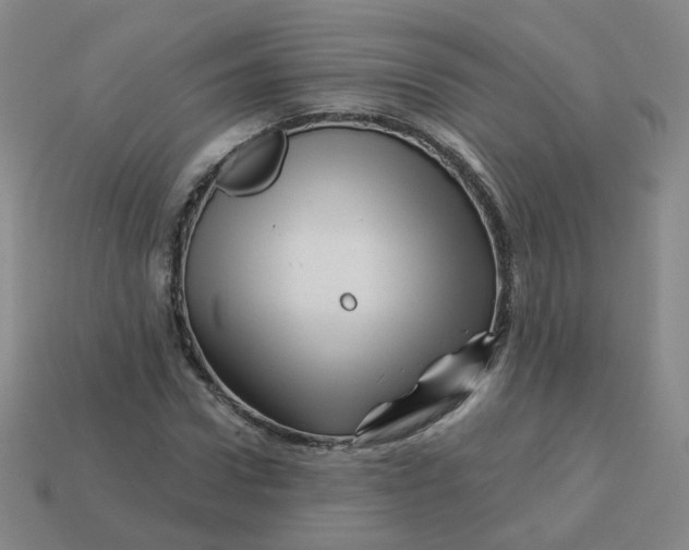 X0000113570922200910161515