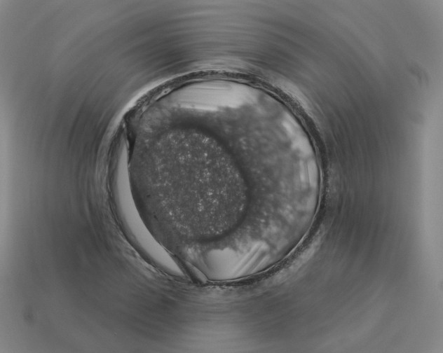 X0000113570923200910161515