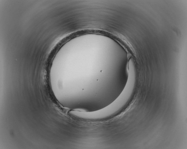 X0000113570926200910161515