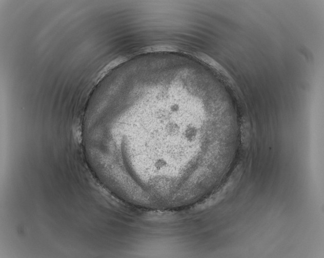 X0000113570929200910161515