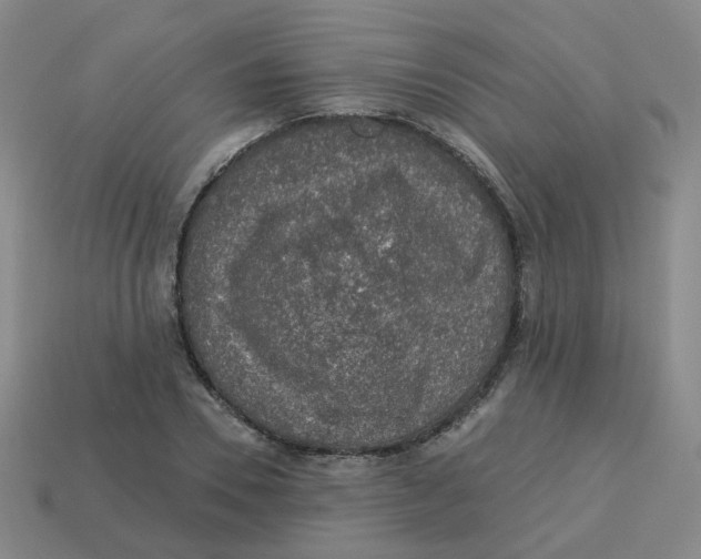 X0000113570930200910161515