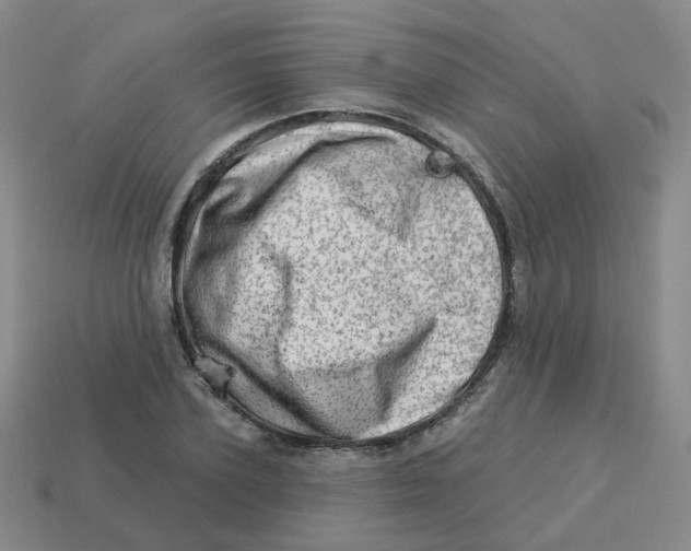 X0000113570931200910161515