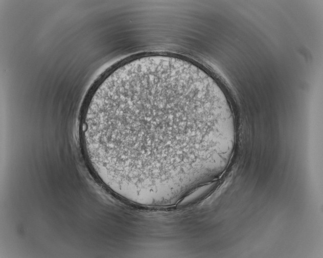 X0000113570932200910161515