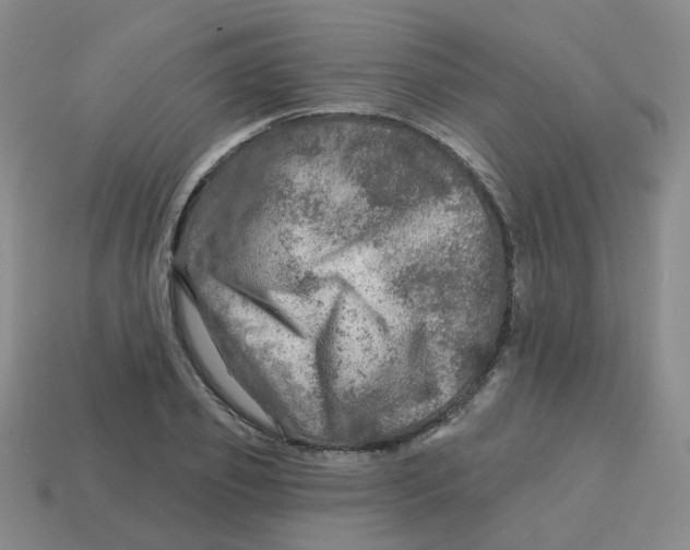 X0000113570933200910161515