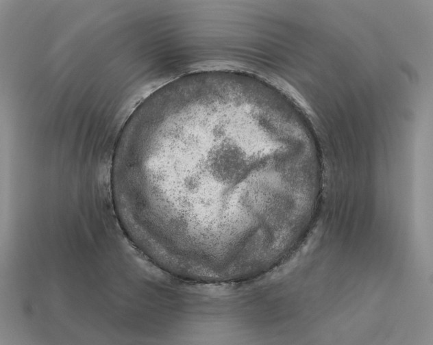 X0000113570937200910161515