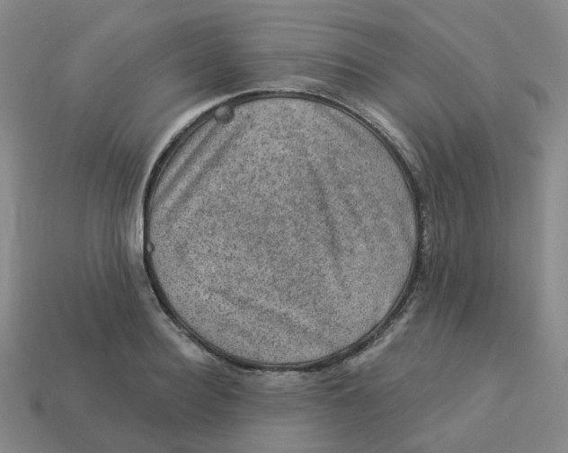 X0000113570940200910161515