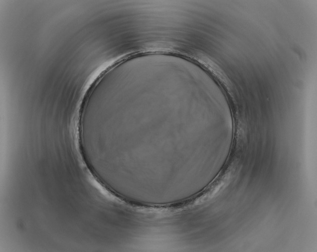 X0000113570941200910161515