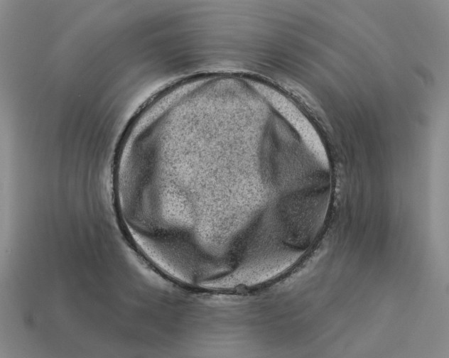 X0000113570942200910161515