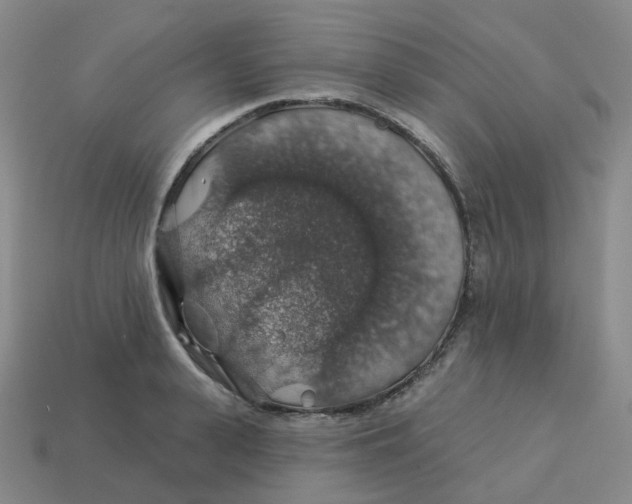 X0000113570943200910161515