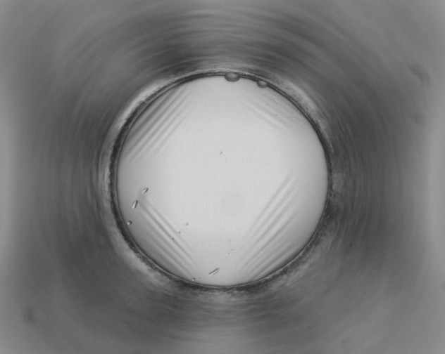 X0000113570947200910161515