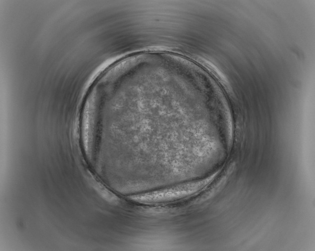 X0000113570948200910161515