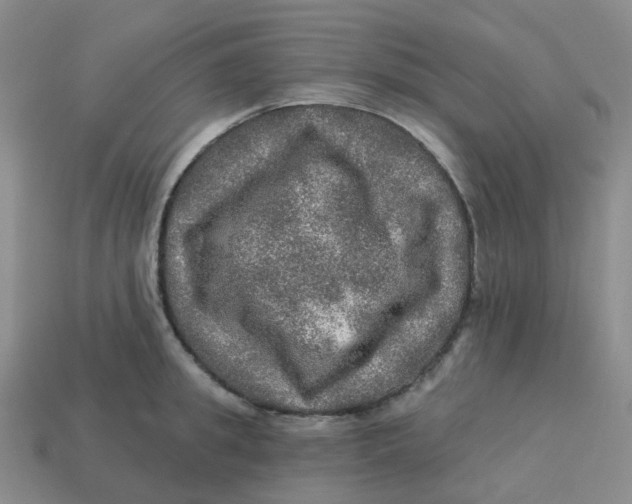 X0000113570949200910161515