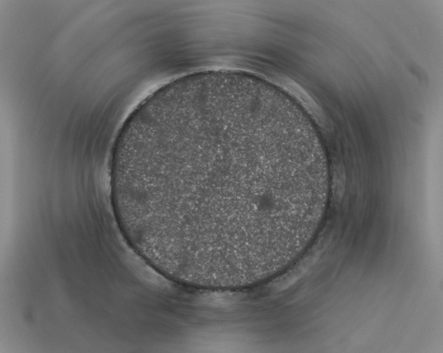 X0000113570950200910161515