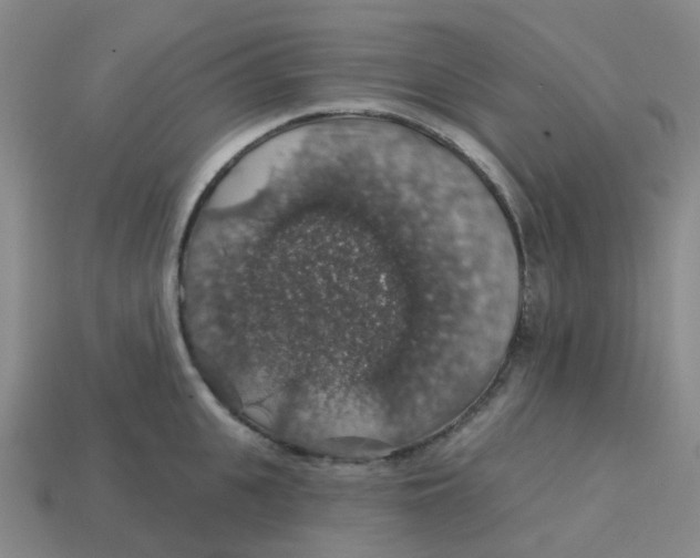 X0000113570951200910161515