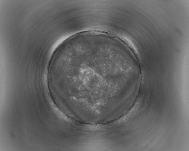 X0000113570952200910161515