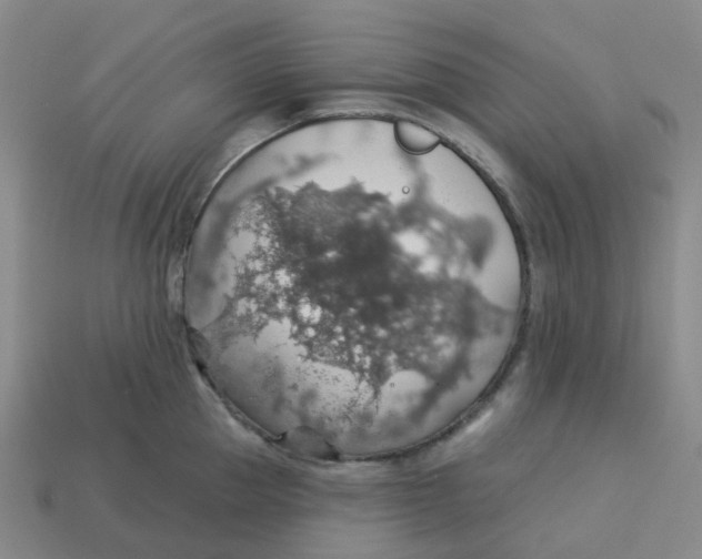 X0000113570953200910161515