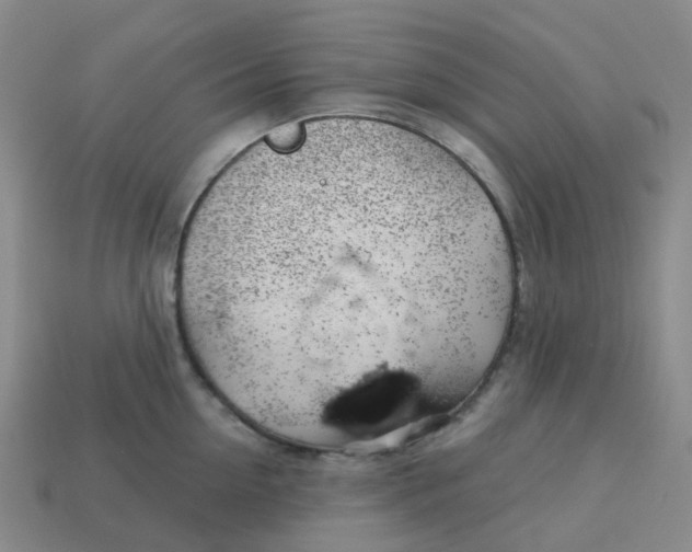 X0000113570954200910161515