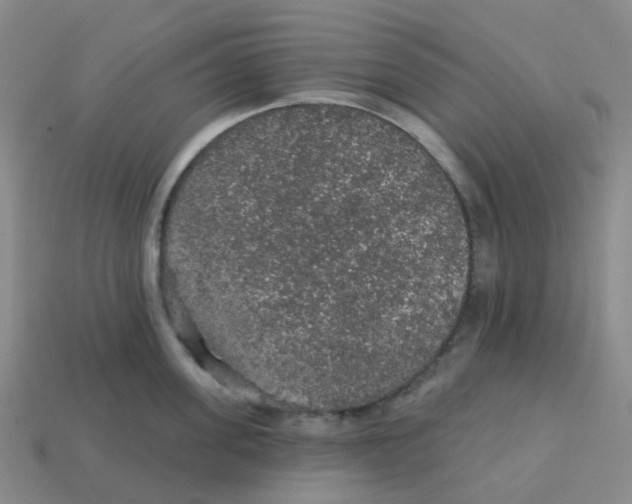 X0000113570955200910161515