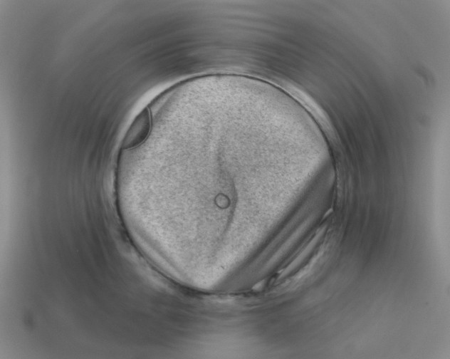 X0000113570956200910161515