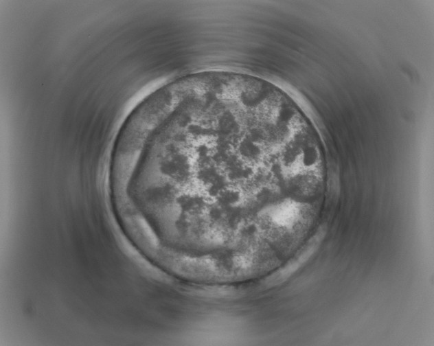 X0000113570957200910161515