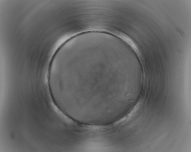 X0000113570958200910161515