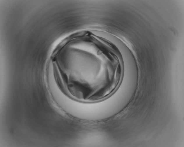 X0000113570960200910161515