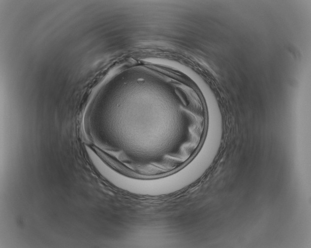 X0000113570965200910161515