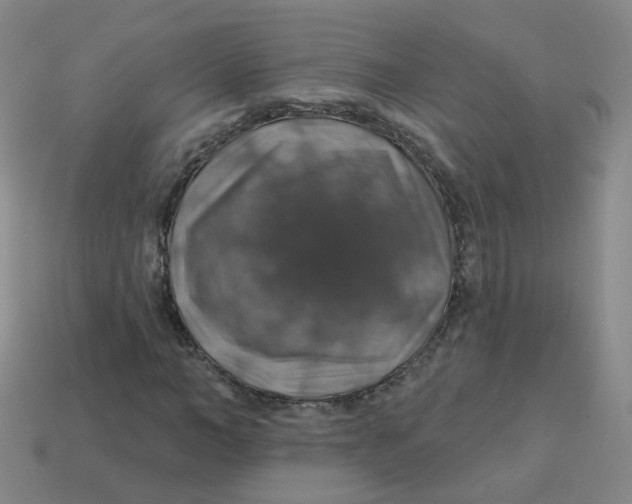 X0000113570966200910161515