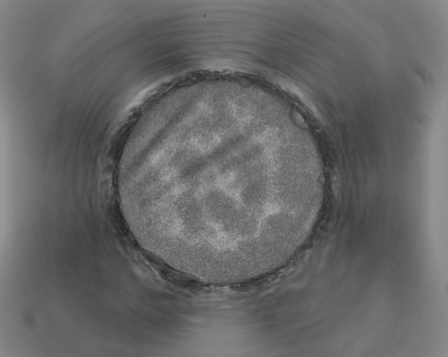 X0000113570968200910161515