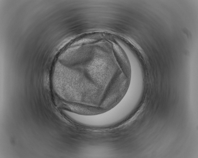 X0000113570969200910161515