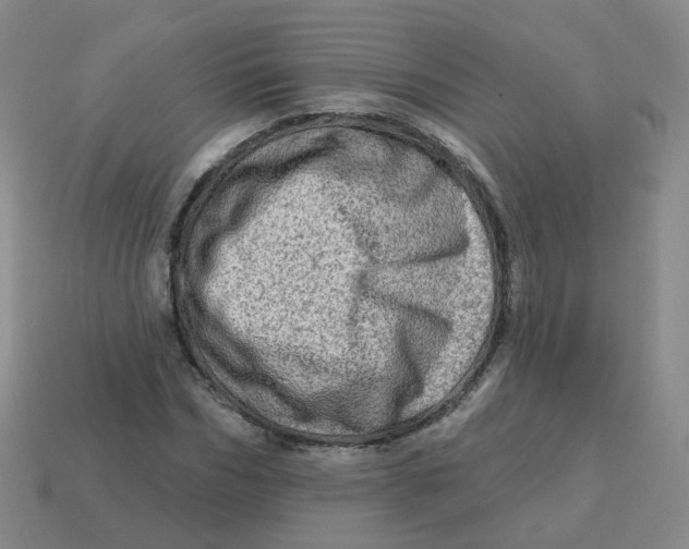 X0000113570970200910161515