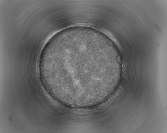 X0000113570972200910161514