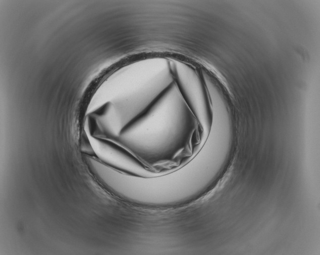 X0000113570973200910161514