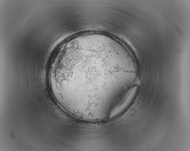 X0000113570975200910161514