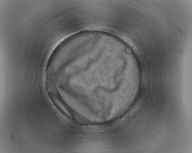 X0000113570976200910161514