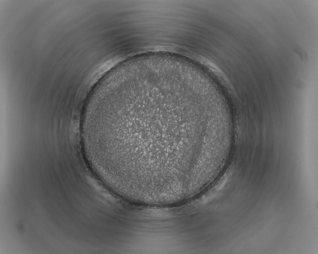 X0000113570977200910161514