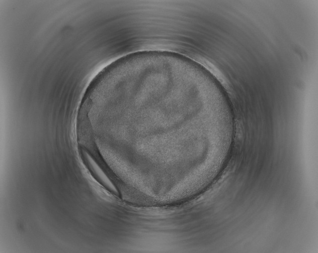 X0000113570980200910161514