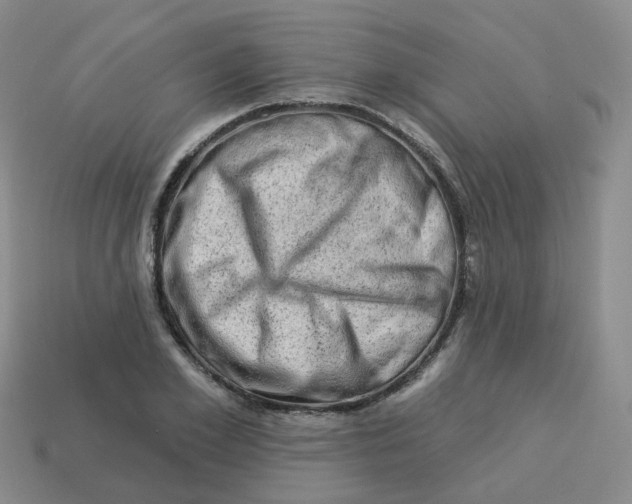 X0000113570981200910161514