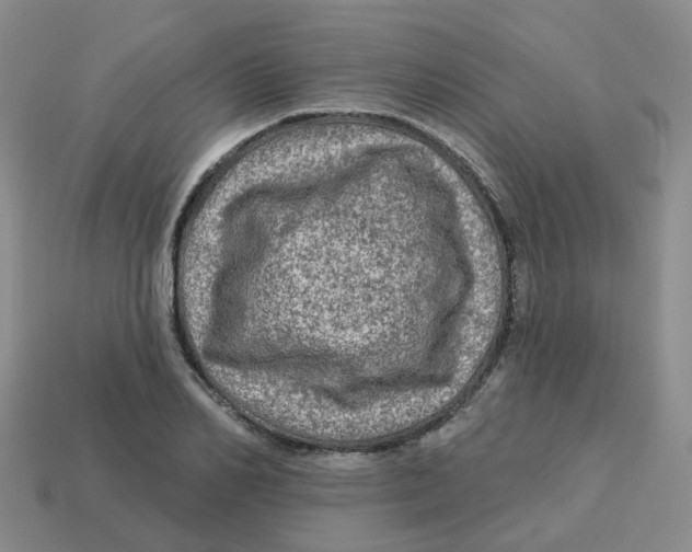 X0000113570982200910161514