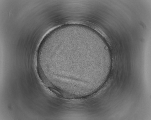 X0000113570984200910161514