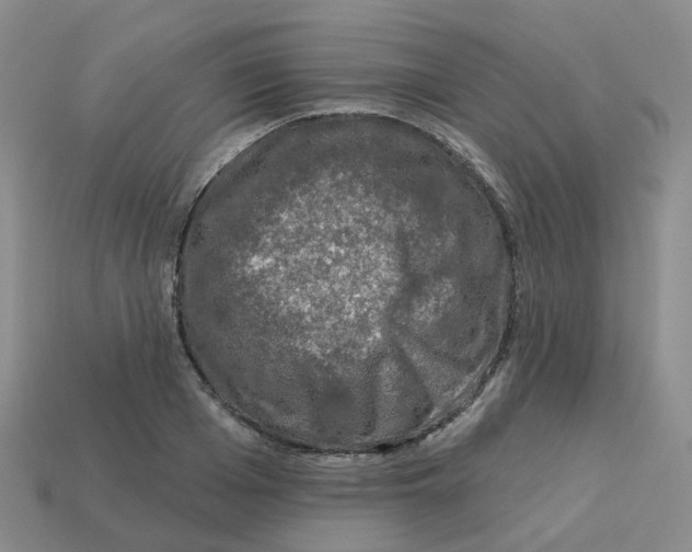 X0000113570985200910161514