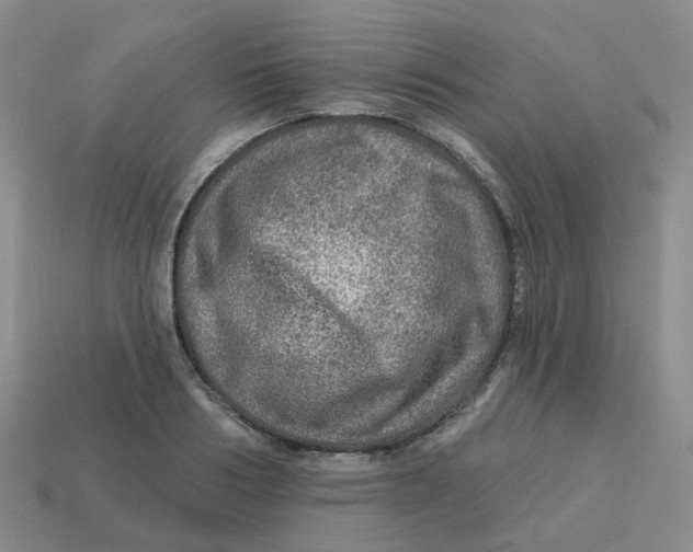 X0000113570986200910161514