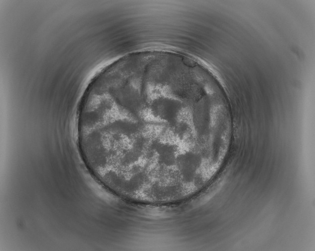 X0000113570987200910161514