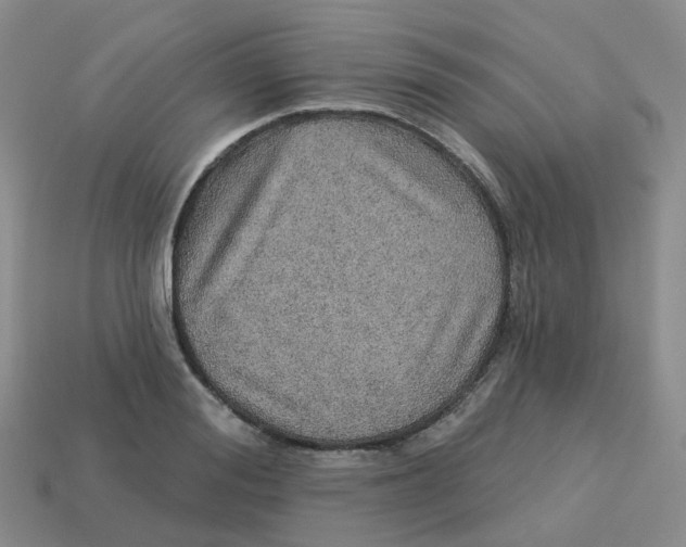 X0000113570988200910161514