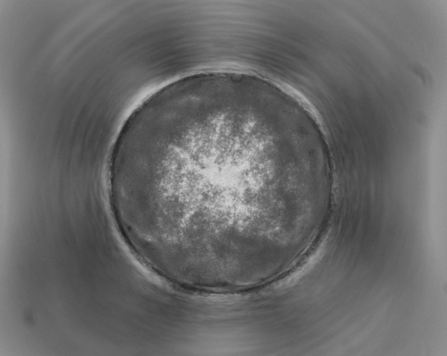 X0000113570989200910161514