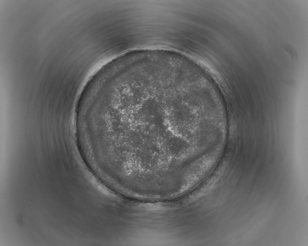 X0000113570990200910161514